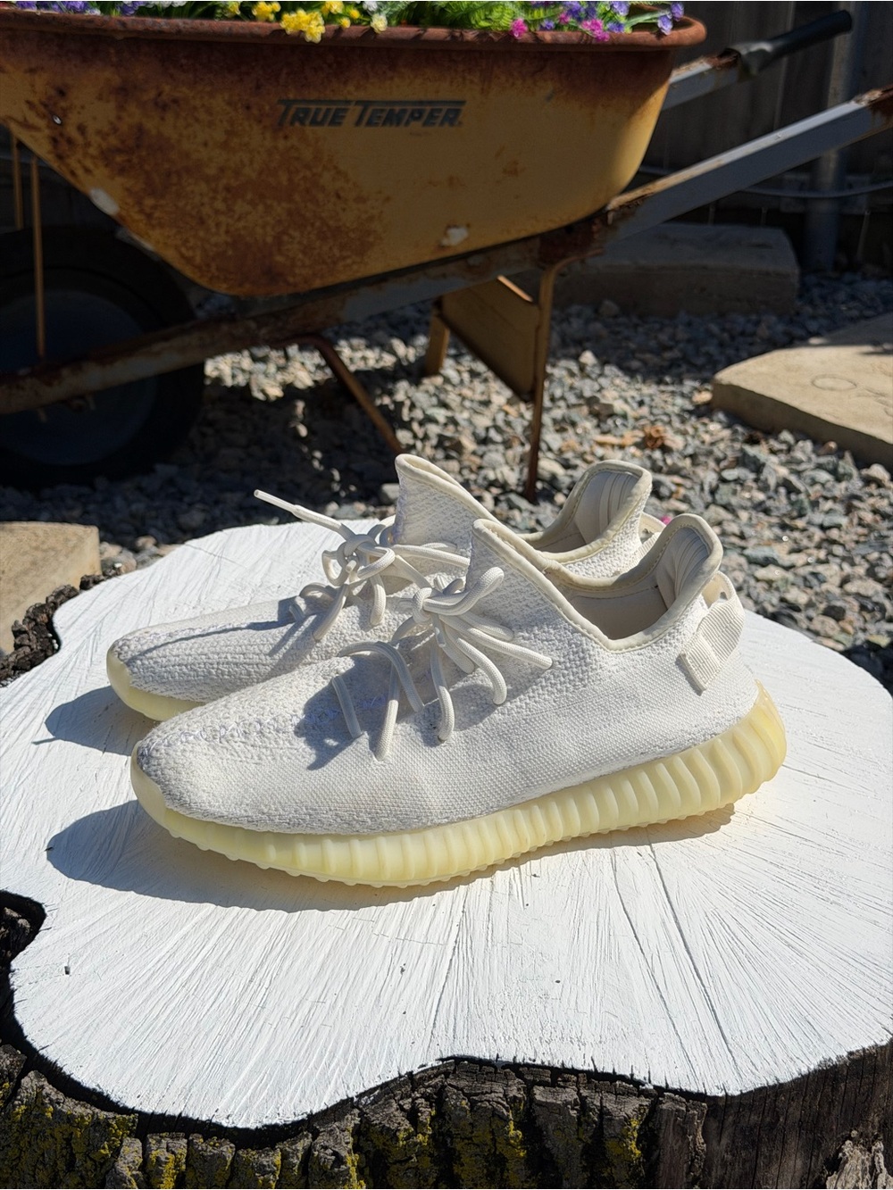Adidas Yeezy 350 cream